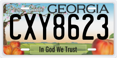 GA license plate CXY8623