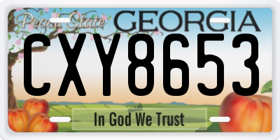GA license plate CXY8653