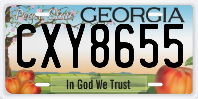 GA license plate CXY8655