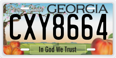 GA license plate CXY8664