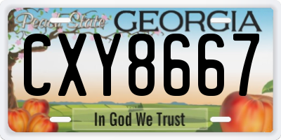 GA license plate CXY8667