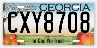 GA license plate CXY8708