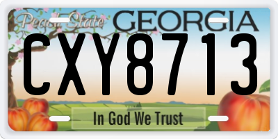 GA license plate CXY8713