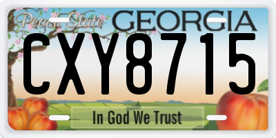 GA license plate CXY8715
