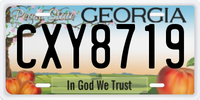 GA license plate CXY8719