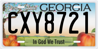 GA license plate CXY8721