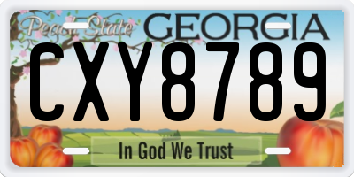 GA license plate CXY8789