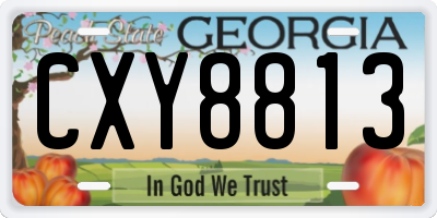 GA license plate CXY8813