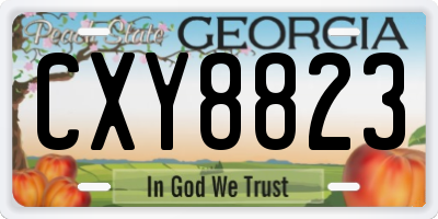 GA license plate CXY8823