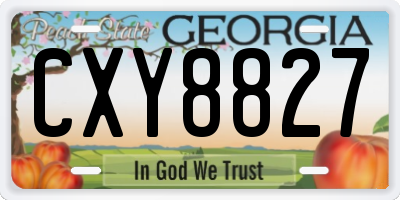GA license plate CXY8827