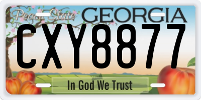 GA license plate CXY8877