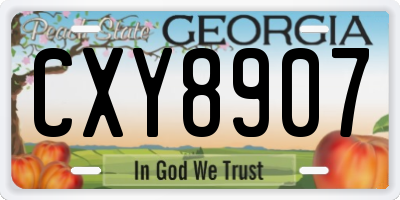 GA license plate CXY8907