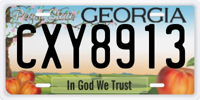 GA license plate CXY8913