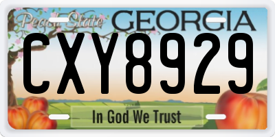 GA license plate CXY8929