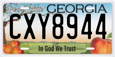 GA license plate CXY8944