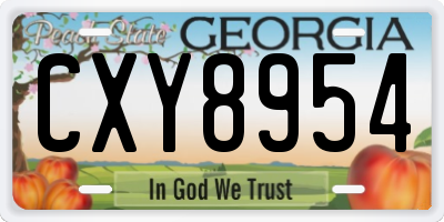 GA license plate CXY8954