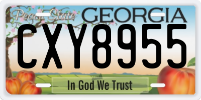 GA license plate CXY8955