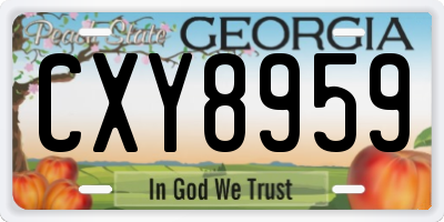 GA license plate CXY8959