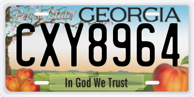 GA license plate CXY8964