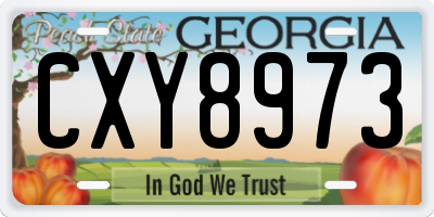 GA license plate CXY8973