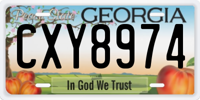 GA license plate CXY8974