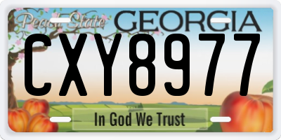 GA license plate CXY8977