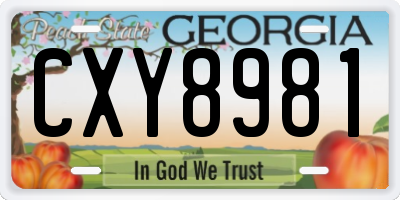 GA license plate CXY8981