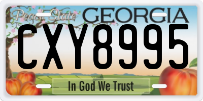GA license plate CXY8995