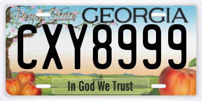 GA license plate CXY8999