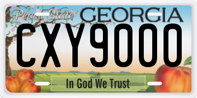 GA license plate CXY9000