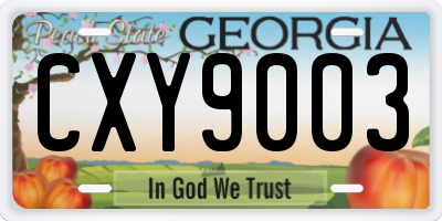 GA license plate CXY9003