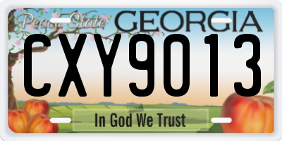 GA license plate CXY9013