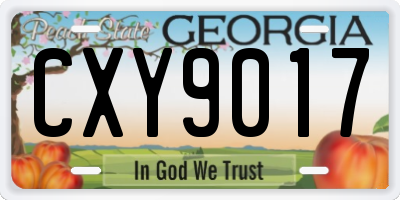 GA license plate CXY9017