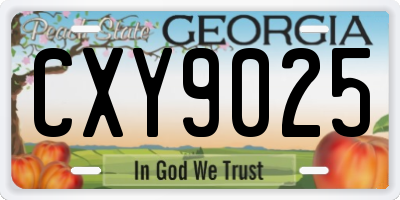 GA license plate CXY9025