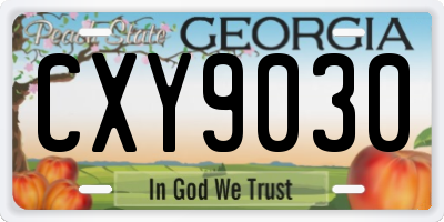 GA license plate CXY9030