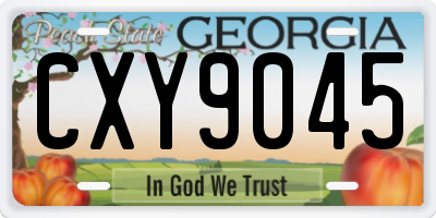 GA license plate CXY9045