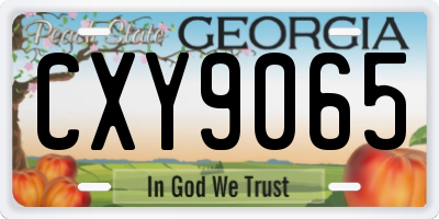 GA license plate CXY9065