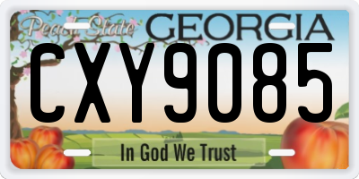 GA license plate CXY9085