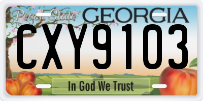 GA license plate CXY9103