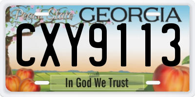 GA license plate CXY9113