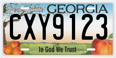 GA license plate CXY9123