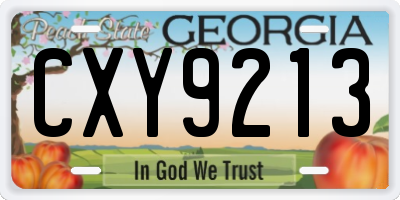 GA license plate CXY9213
