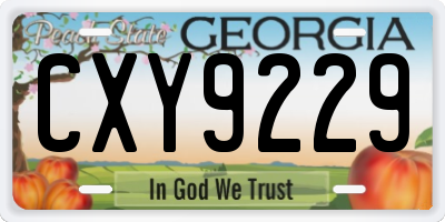 GA license plate CXY9229
