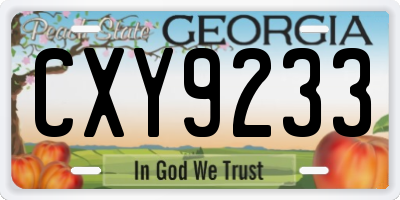 GA license plate CXY9233