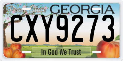 GA license plate CXY9273