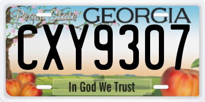 GA license plate CXY9307