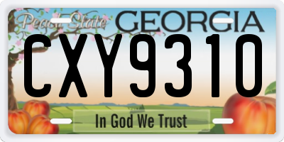 GA license plate CXY9310