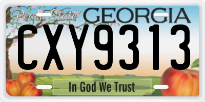 GA license plate CXY9313