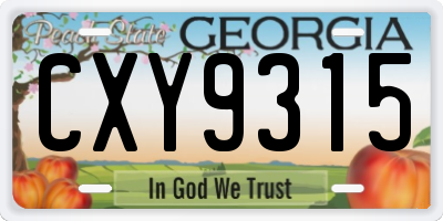GA license plate CXY9315