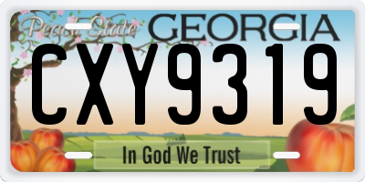 GA license plate CXY9319